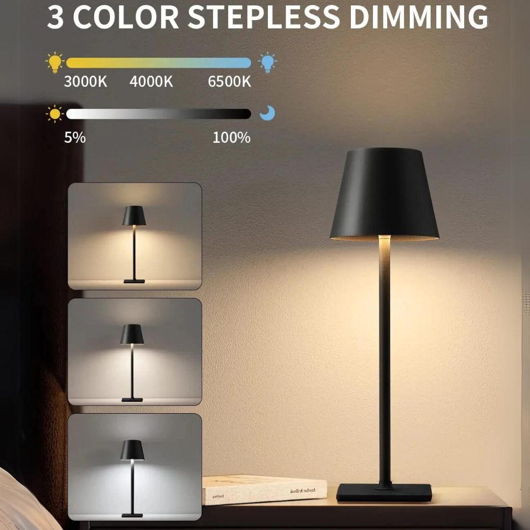 Caroline Rechargeable USB LED Desk Lamp