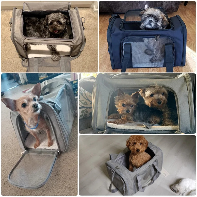 CarryPETS - Travel Bag for Small Pets