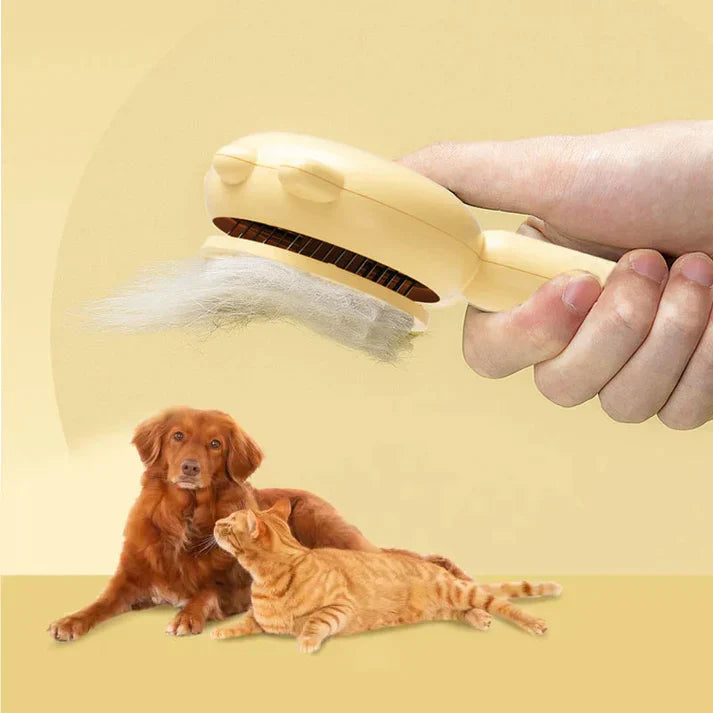 Cat-Ready Hair Remover | Buy 1 Get 1 Free