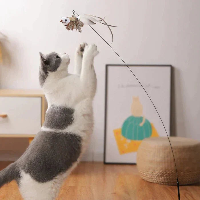 CatCatch | Keep Your Cat Active and Your Furniture Safe