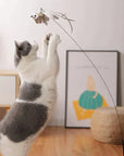 CatCatch | Keep Your Cat Active and Your Furniture Safe