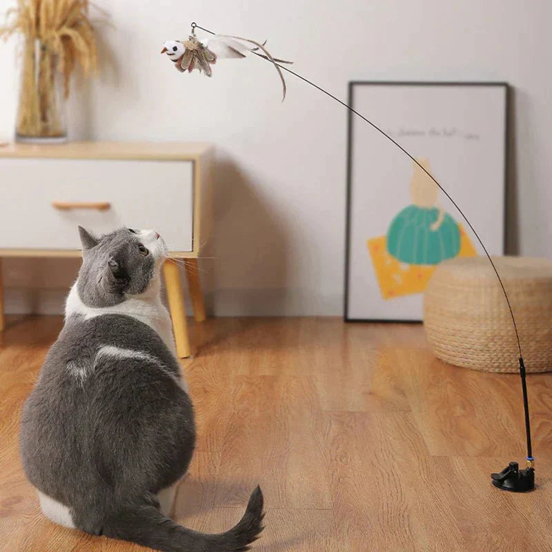 CatCatch | Keep Your Cat Active and Your Furniture Safe