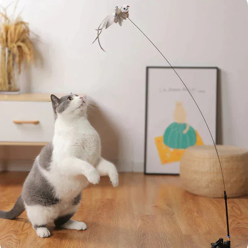 CatCatch | Keep Your Cat Active and Your Furniture Safe