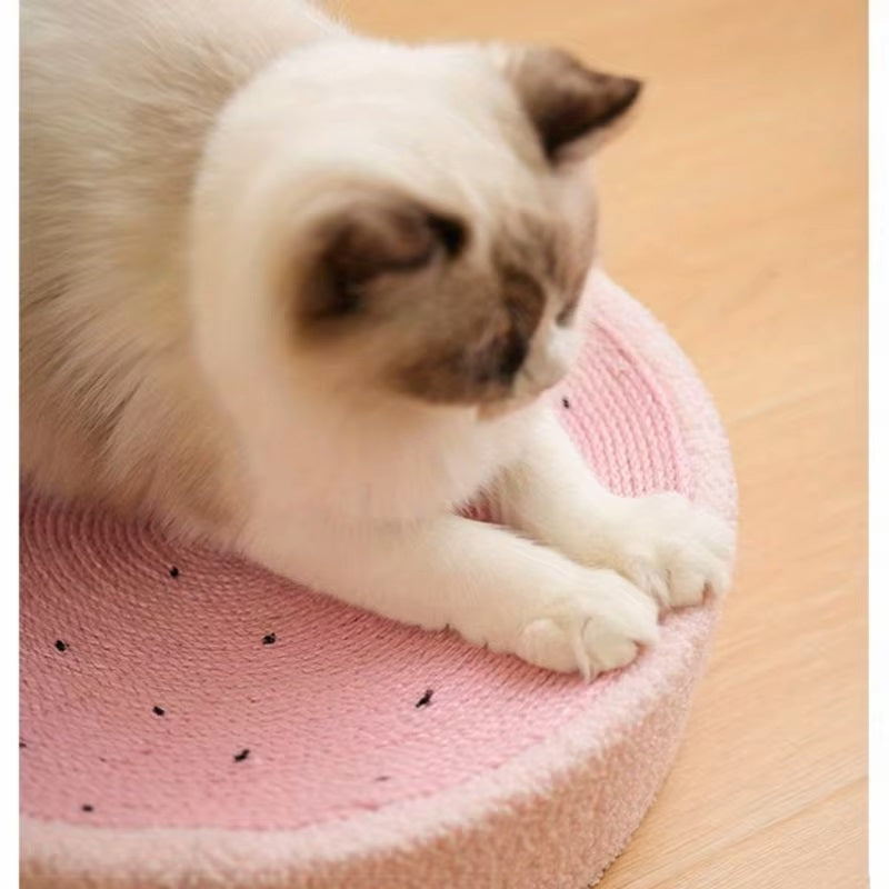 CatCraze | Reduces Stress and Enhances Well-being