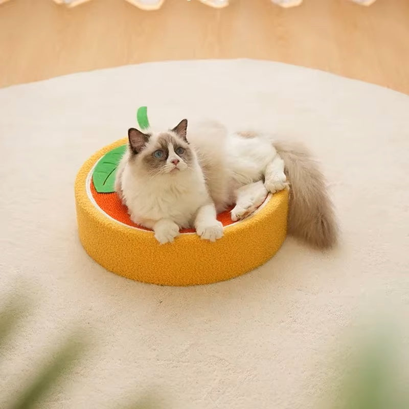 CatCraze | Reduces Stress and Enhances Well-being