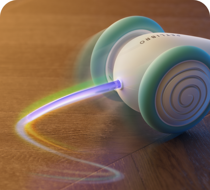 CatRap | Keep your cat active and happy