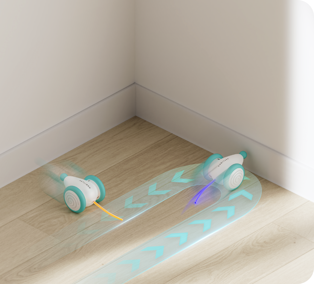 CatRap | Keep your cat active and happy