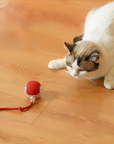 CatSprint – Electric Rolling Ball Toy for Cats