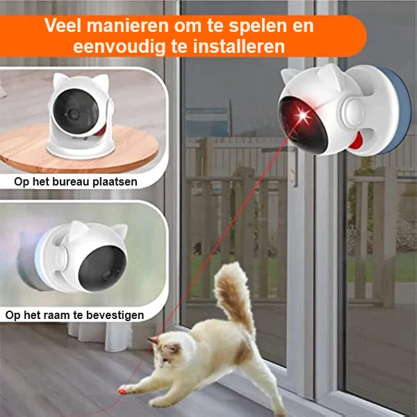 CatZoom | The Ultimate Play Experience