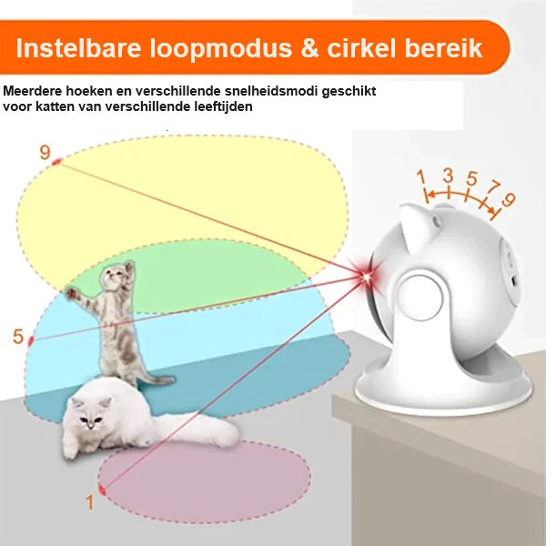 CatZoom | The Ultimate Play Experience