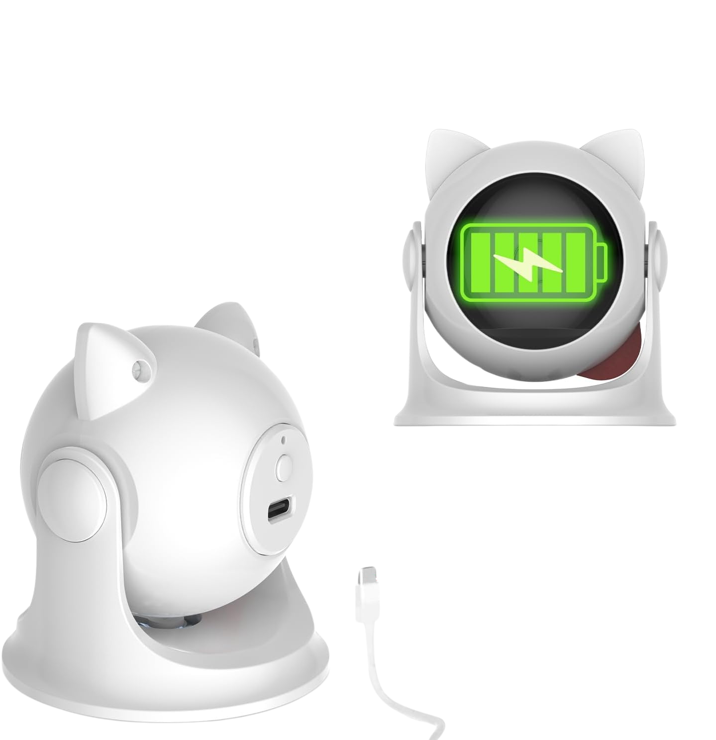 CatZoom | The Ultimate Play Experience