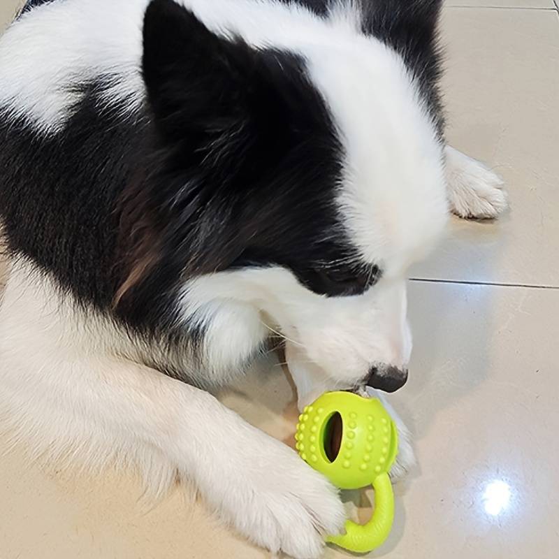 CheesyPaw | Pet Toy Ball