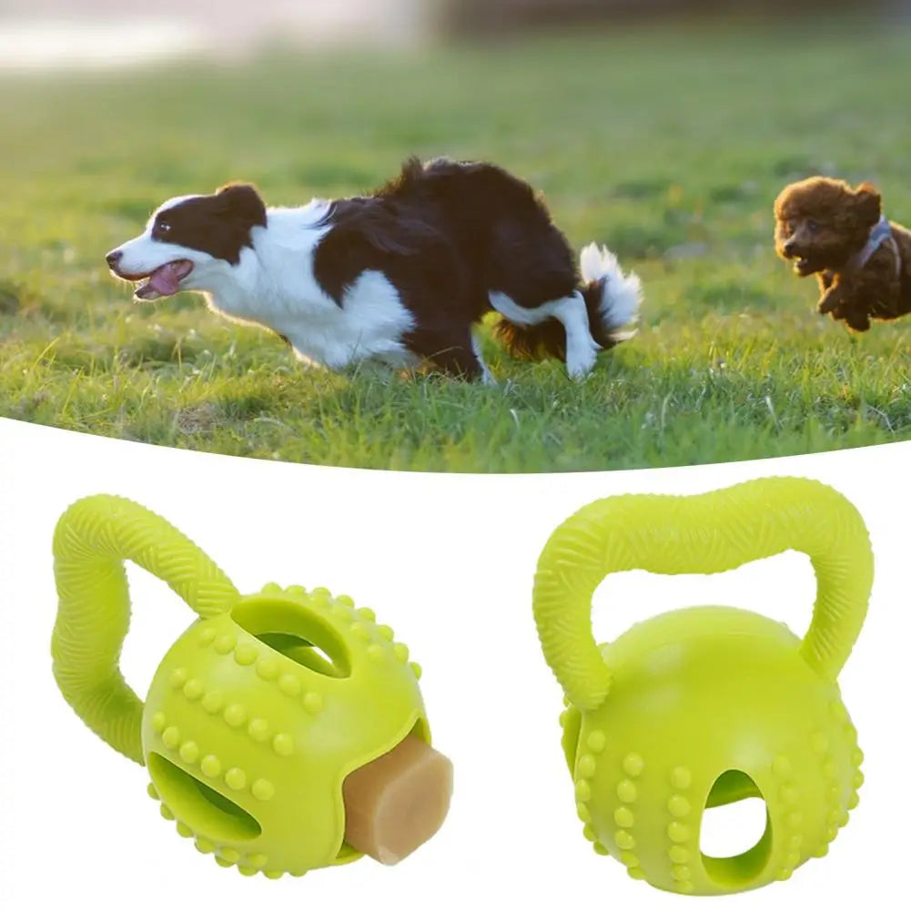 CheesyPaw | Pet Toy Ball