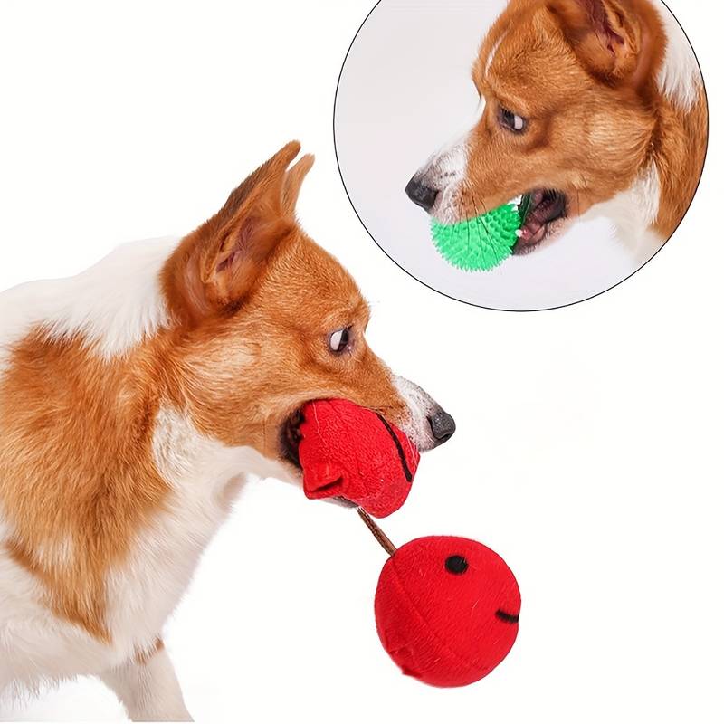 CherryPals | Treat Hiding Toy