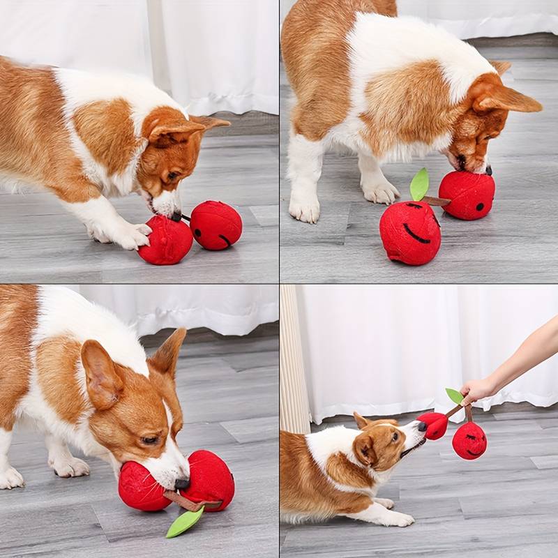 CherryPals | Treat Hiding Toy