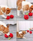CherryPals | Treat Hiding Toy