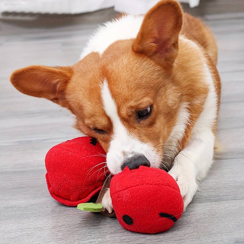 CherryPals | Treat Hiding Toy