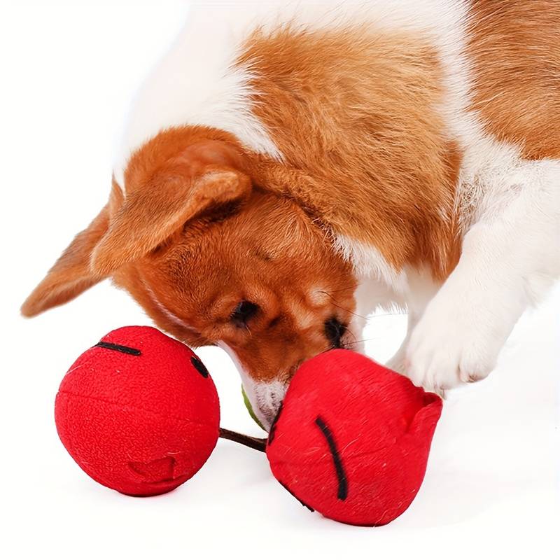 CherryPals | Treat Hiding Toy