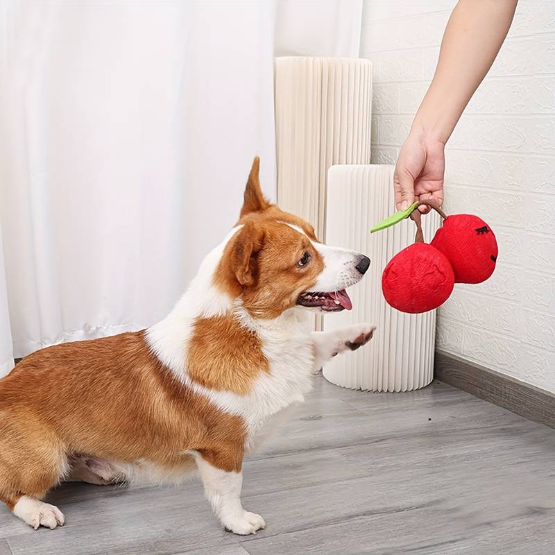 CherryPals | Treat Hiding Toy