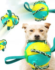 ChewTech | 3-in-1 Dog Ball