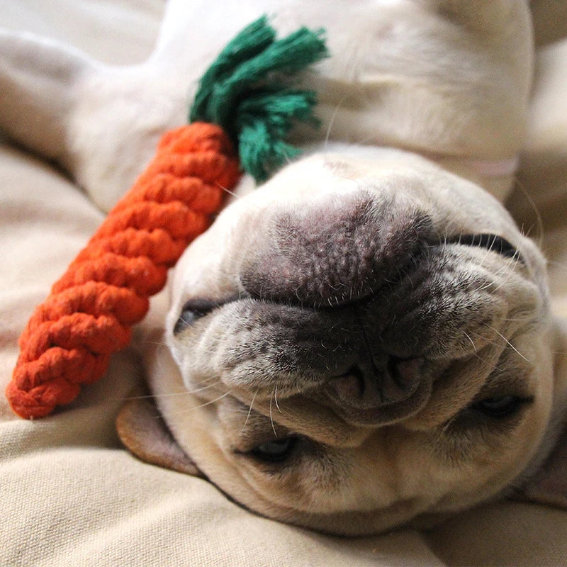 ChewyCorn | For Ultimate Chewing Pleasure