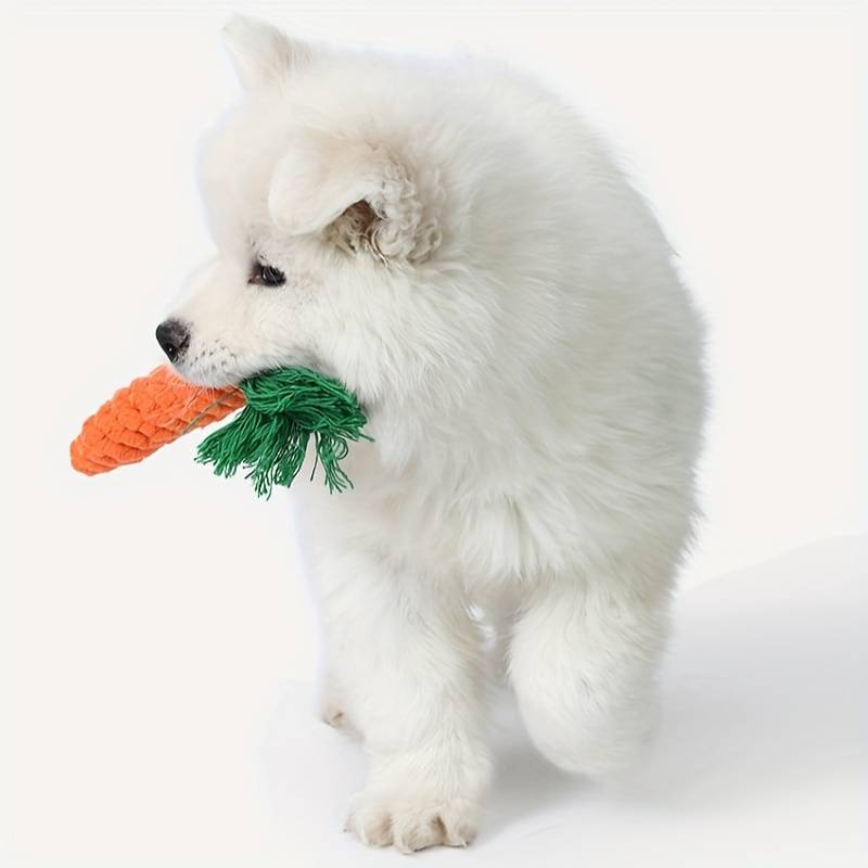 ChewyCorn | For Ultimate Chewing Pleasure