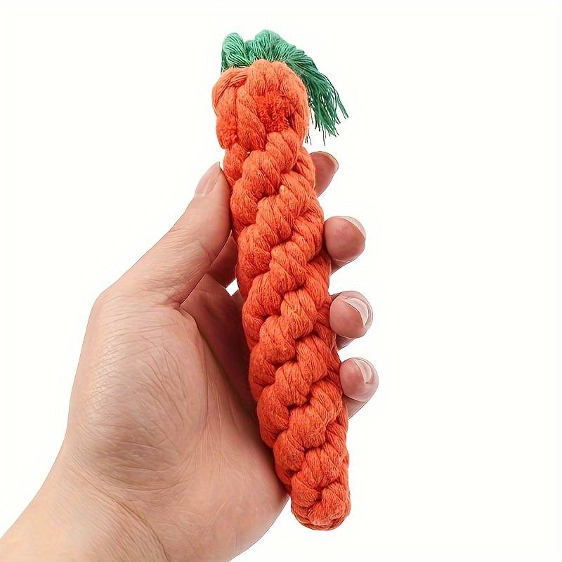ChewyCorn | For Ultimate Chewing Pleasure