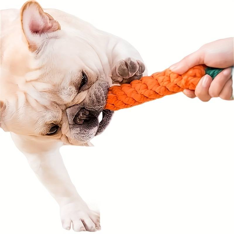 ChewyCorn | For Ultimate Chewing Pleasure