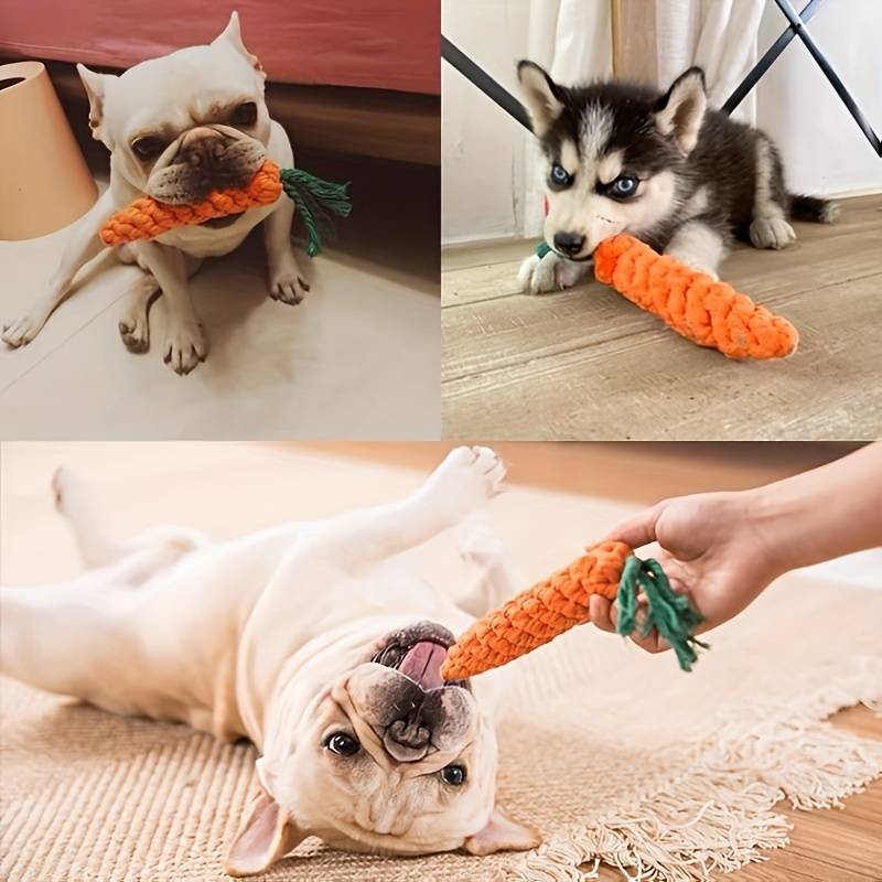 ChewyCorn | For Ultimate Chewing Pleasure