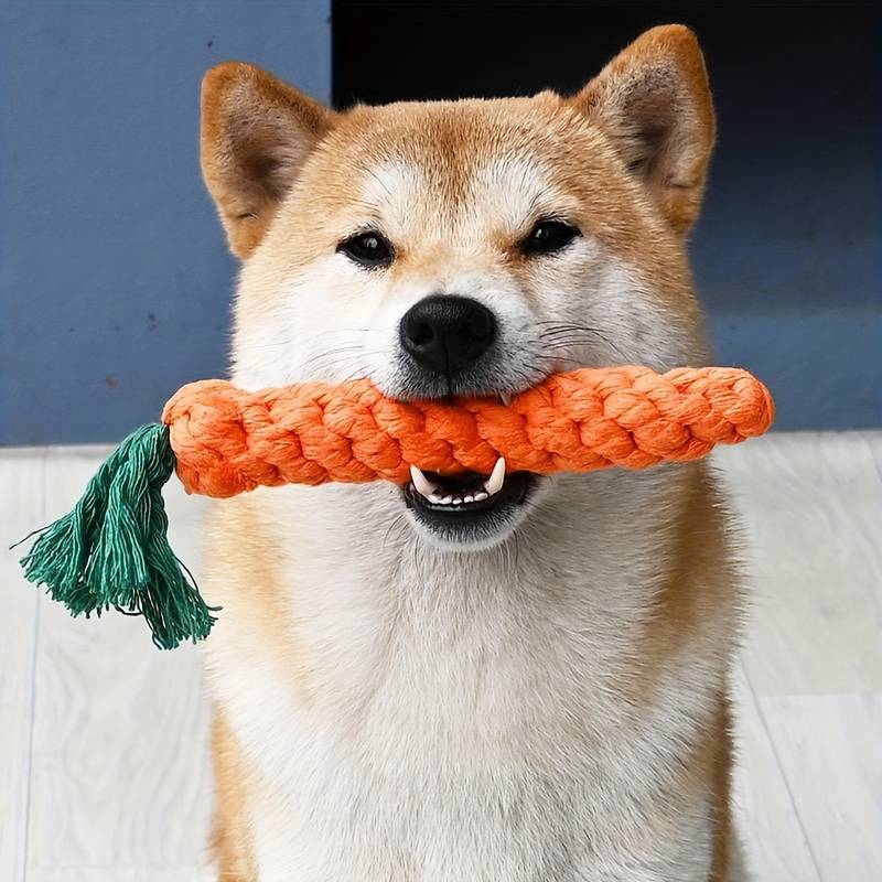 ChewyCorn | For Ultimate Chewing Pleasure