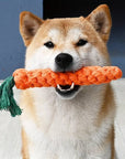 ChewyCorn | For Ultimate Chewing Pleasure