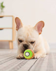 ChewyFruit | Toy for Healthy Teeth