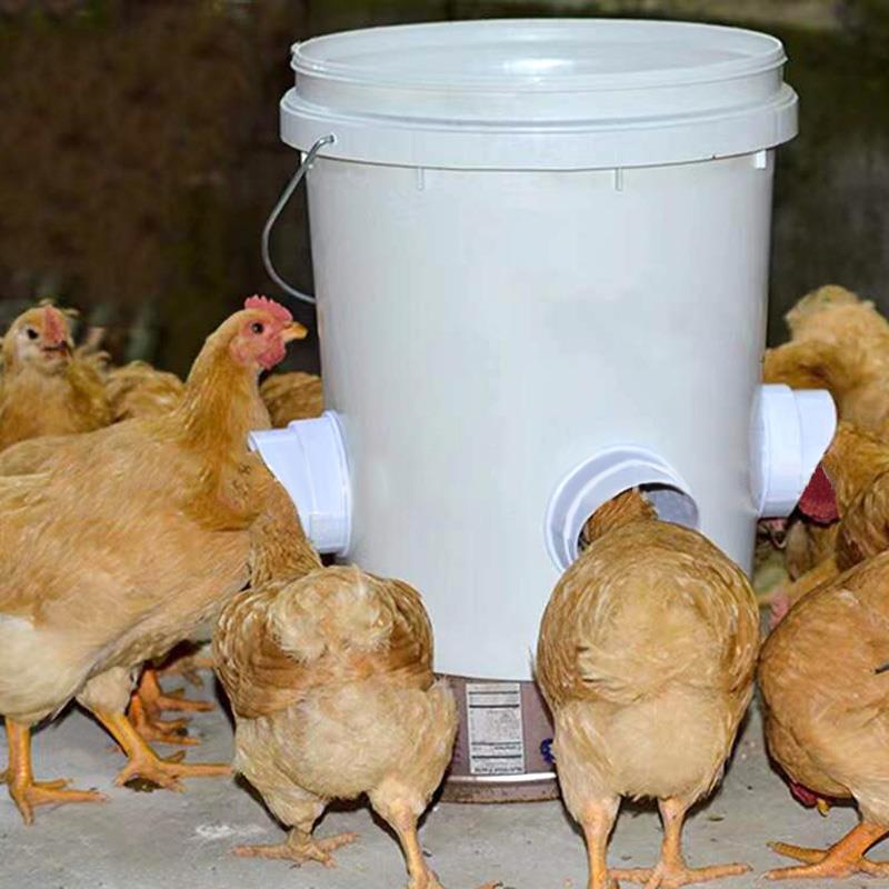 ChickenFeeder | The Ultimate Feeding Solution