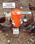 ChickenFeeder | The Ultimate Feeding Solution