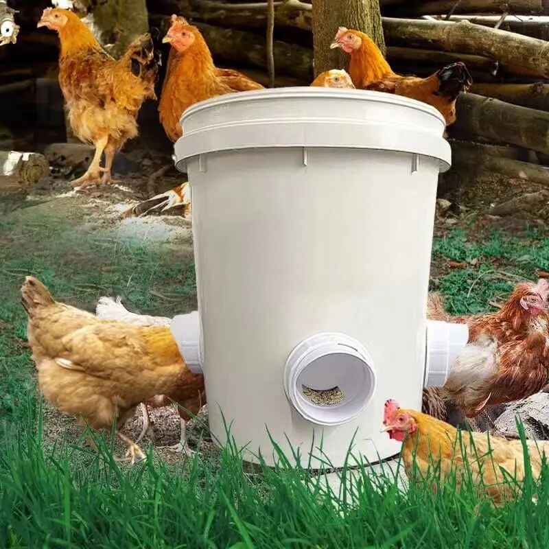 ChickenFeeder | The Ultimate Feeding Solution