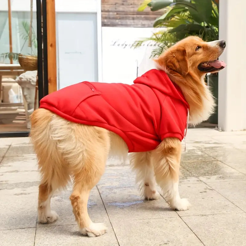 ChillWoof | Say goodbye to shivers with this warm hoodie