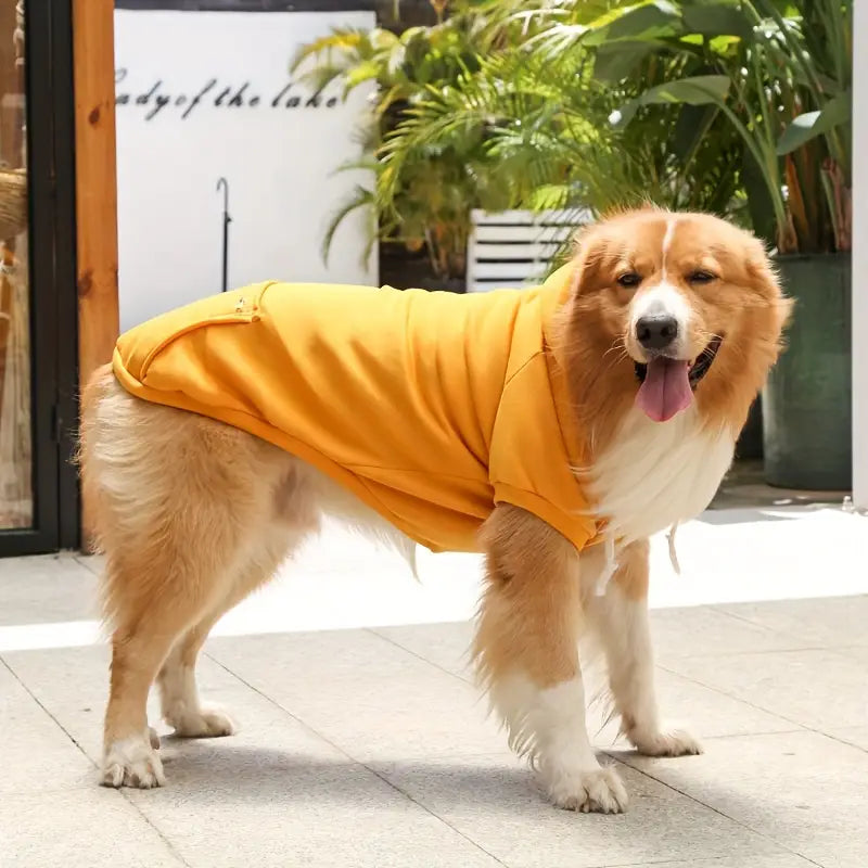 ChillWoof | Say goodbye to shivers with this warm hoodie