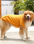 ChillWoof | Say goodbye to shivers with this warm hoodie
