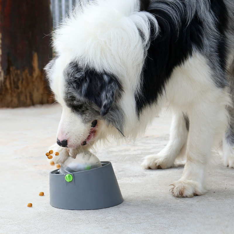 Chompy | 3-in-1 Feeding Puzzle for Dogs