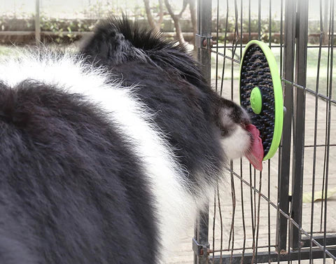 Chompy | 3-in-1 Feeding Puzzle for Dogs