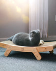 ClawCozy | Cat Scratching Post and Bed