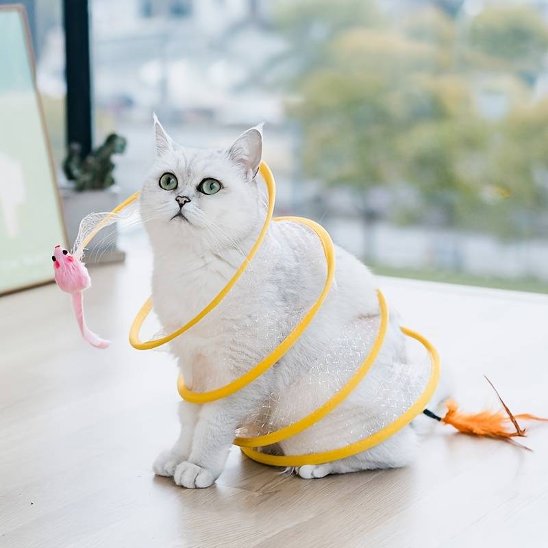 ClawCurl | For endless playtime fun