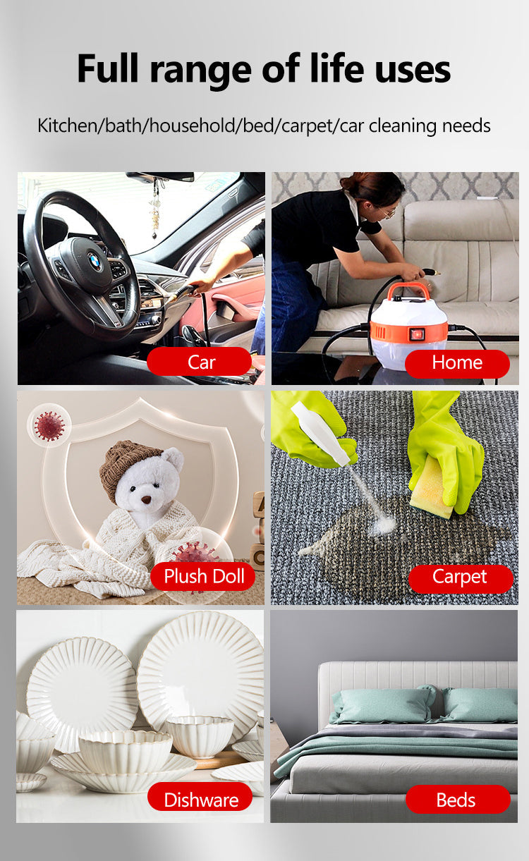 Cleenerz - Innovative 2800W Steam Cleaner for Car and Home