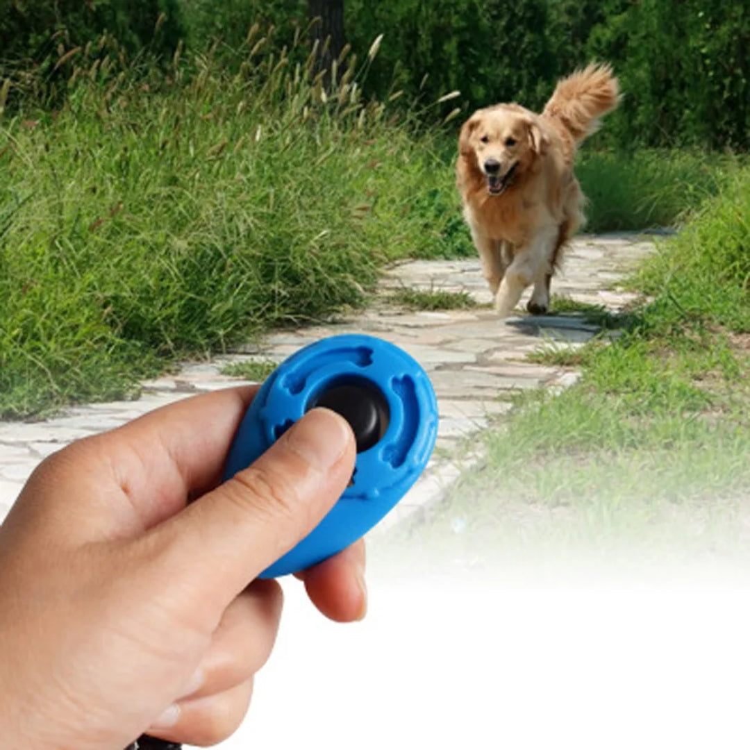 Clickzy | Clear Click, Quick Training!