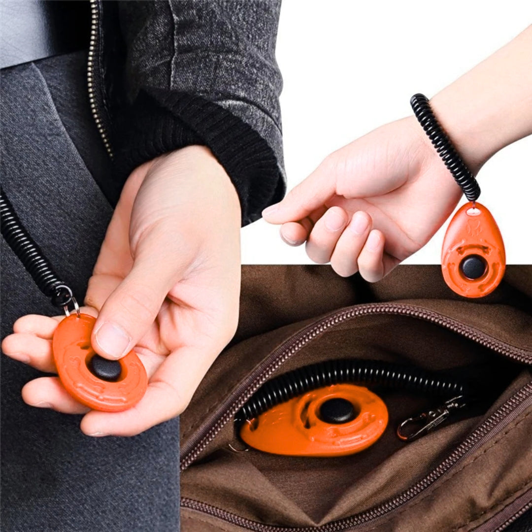 Clickzy | Clear Click, Quick Training!