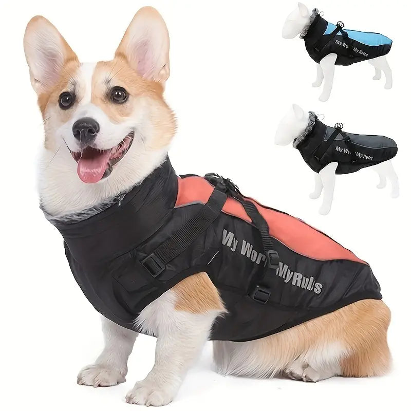 CloudTail | Warm Dog Coat with Reflective Details