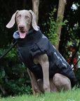 CloudTail | Warm Dog Coat with Reflective Details
