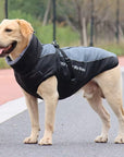 CloudTail | Warm Dog Coat with Reflective Details