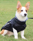 CloudTail | Warm Dog Coat with Reflective Details