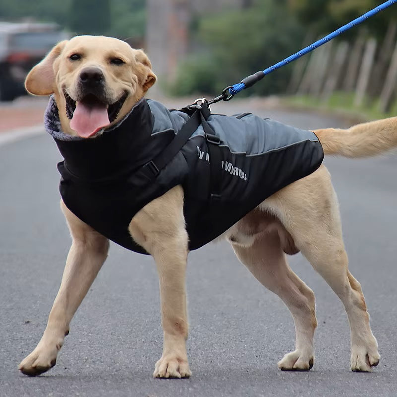 CloudTail | Warm Dog Coat with Reflective Details